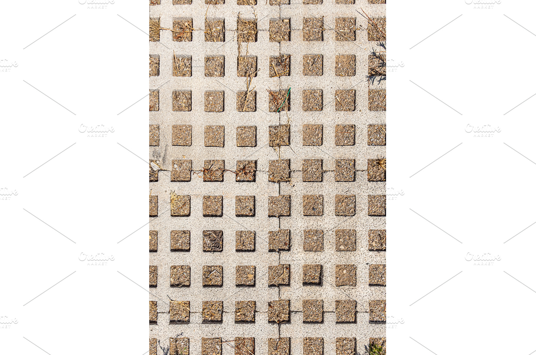 A beautiful vertical texture of a, a Background Photo by Illustrations&photos