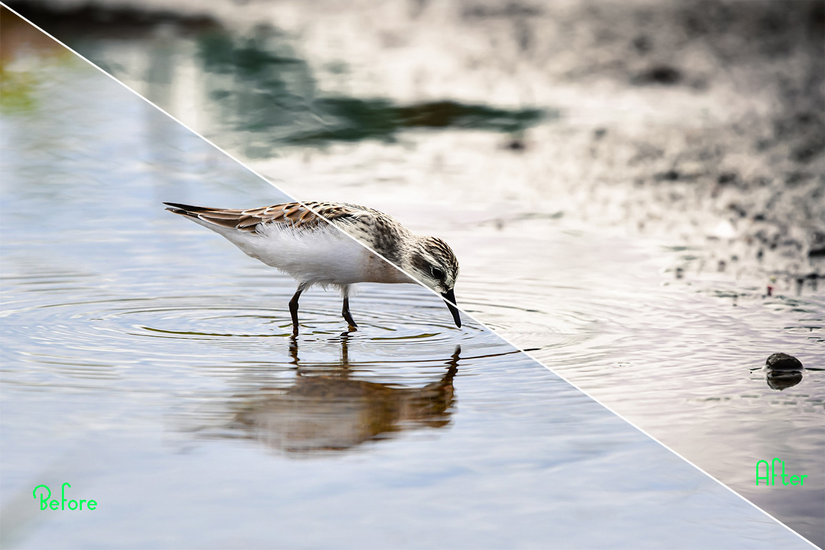 Landscape Photoshop Actions Bundle, an Action Add-On by ARTNEST (Photo 2 of 15)