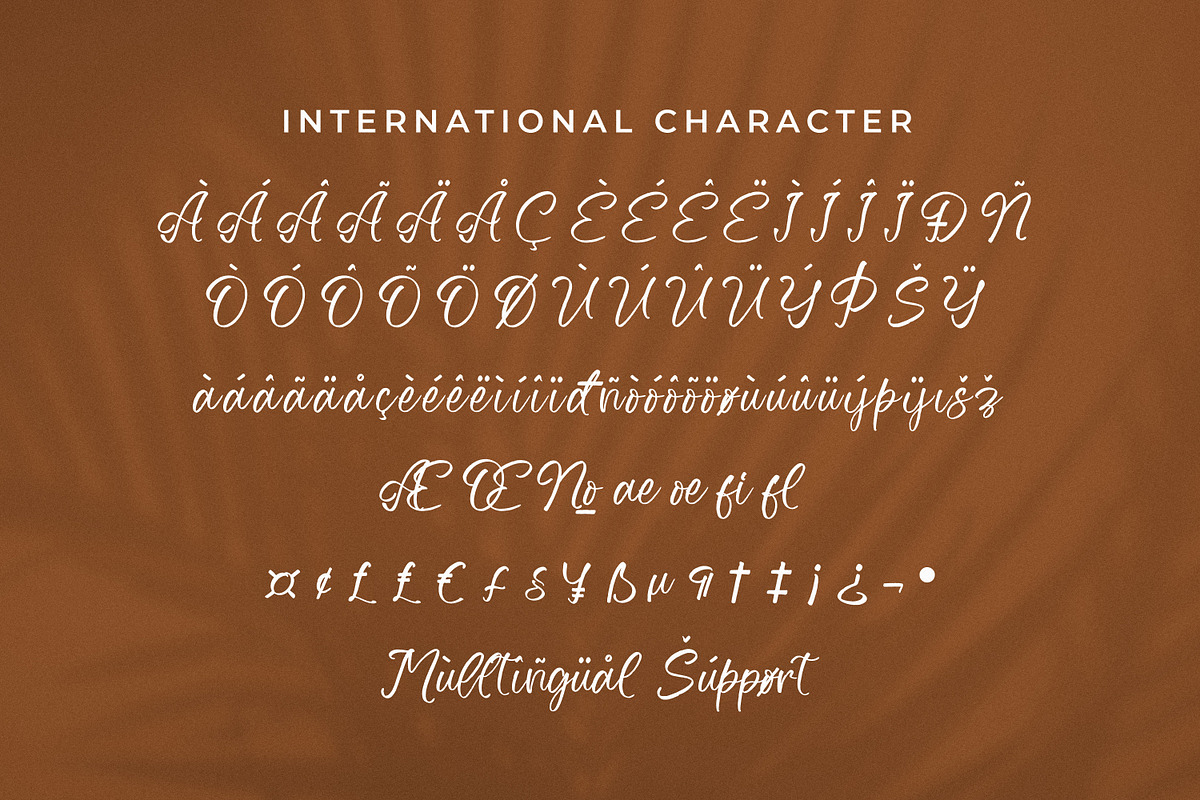 Zeyatte Kareety, a Script Font by Integritype Studio (Photo 10 of 15)