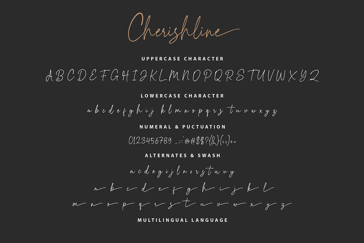 Cherishline Script Font, a Script Font by sizimon (Photo 7 of 8)