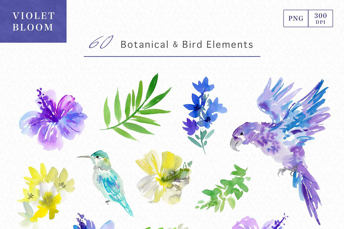 Watercolor Hibiscus & Tropical Birds, an Object Graphic by Sawango Designs (Photo 3 of 11)