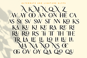 Carolina || Modern Serif  Font, a Serif Font by Idea Studio (Thumbnail 12 of 12)