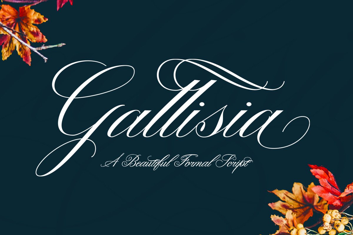 Gallisia Script, a Script Font by Picatype Studio (Photo 1 of 9)