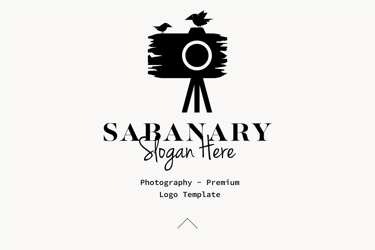 Photography - Premium Logo Template, a Branding & Logo Template by Minimalist Logos (Photo 1 of 7)