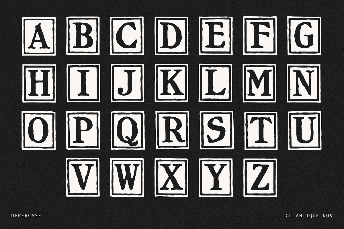 Antique Block Print Font, a Serif Font by Century Library (Photo 3 of 5)