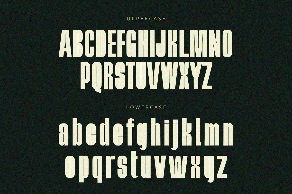Bellmiora - Display Font, a Script Font by Alpaprana (Photo 7 of 9)