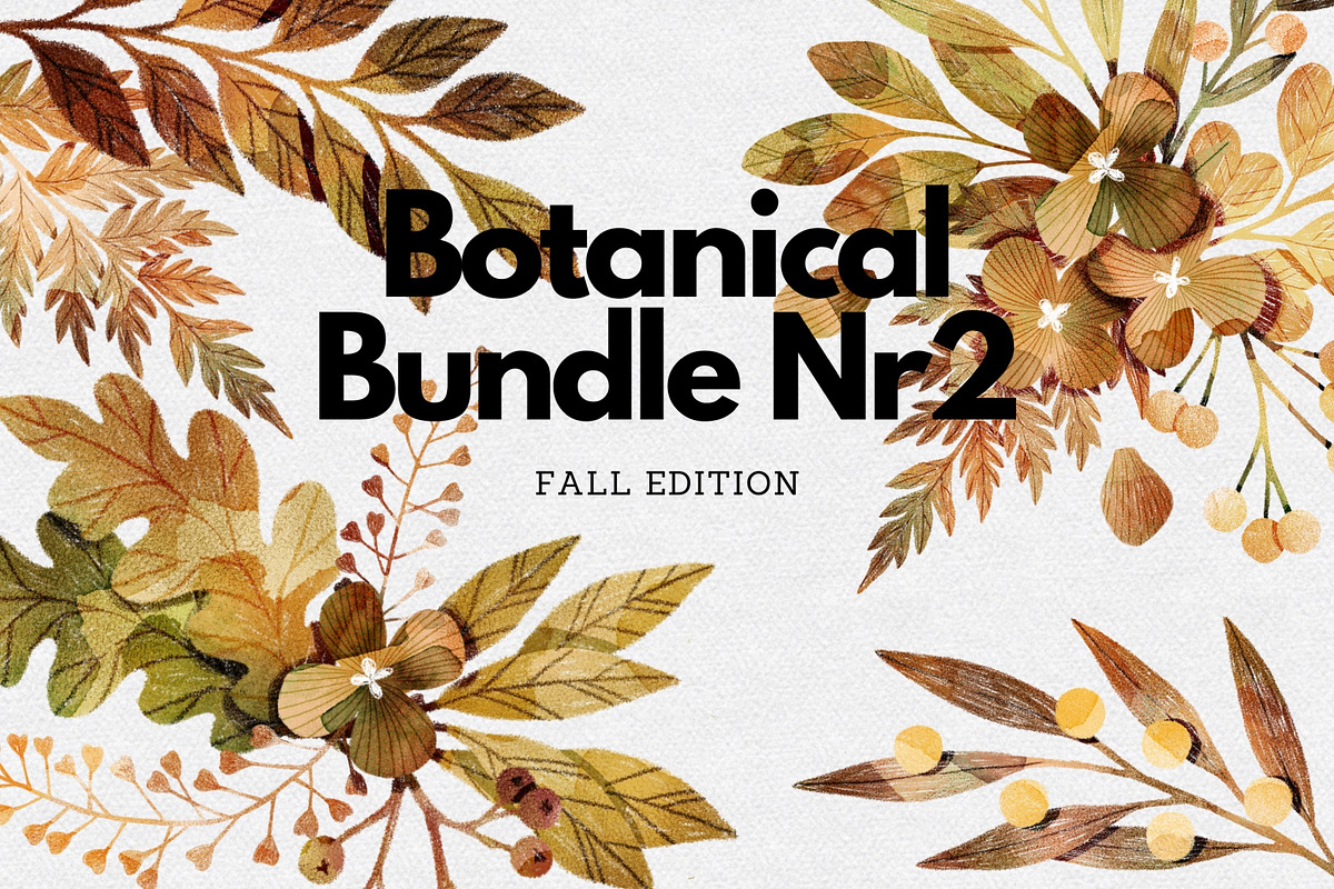 Botanical Bundle Nr 2 | Fall Edition, a Seasonal Illustration by Helga Wigandt (Photo 1 of 9)