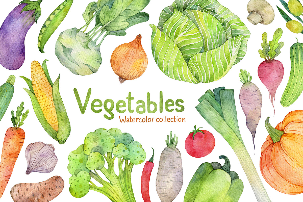 Vegetables Watercolor collections, a Food Illustration by Green_leaf_17 (Photo 1 of 5)