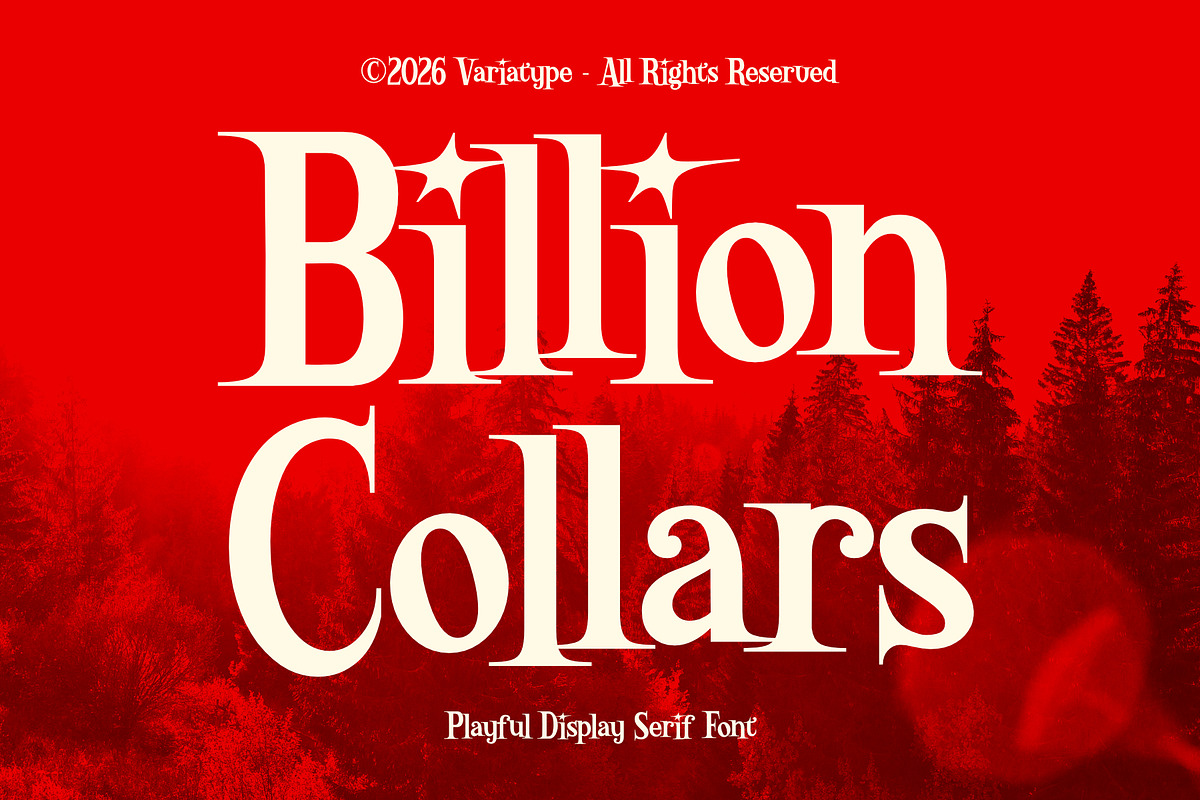 Billion Collars - Playful Serif, a Serif Font by Variatype (Photo 1 of 8)