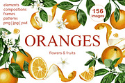 Oranges flowers and fruits clip art, a Food Illustration by Alena Sid (Thumbnail 1 of 14)