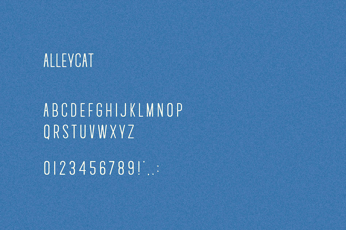 Alleycat I A Rounded Sans Serif Font, a Sans Serif Font by Taylor Penton (Photo 3 of 3)