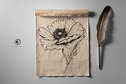 Poppy Flowers Line Art SVG, an Object Graphic by Dervik Art Store (Thumbnail 6 of 7)