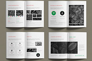 Natural Style Portfolio Template, a Brochure Template by MightyDesign (Thumbnail 2 of 6)