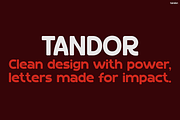 Tandor, a Sans Serif Font by Pinisi ART (Thumbnail 9 of 10)