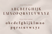 Stetling - Elegant Modern Serif Font, a Serif Font by Zeatype (Thumbnail 10 of 11)