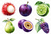 Watercolor Summer Fruit Clipart, an Illustration by Black Bird Studio (Thumbnail 4 of 5)