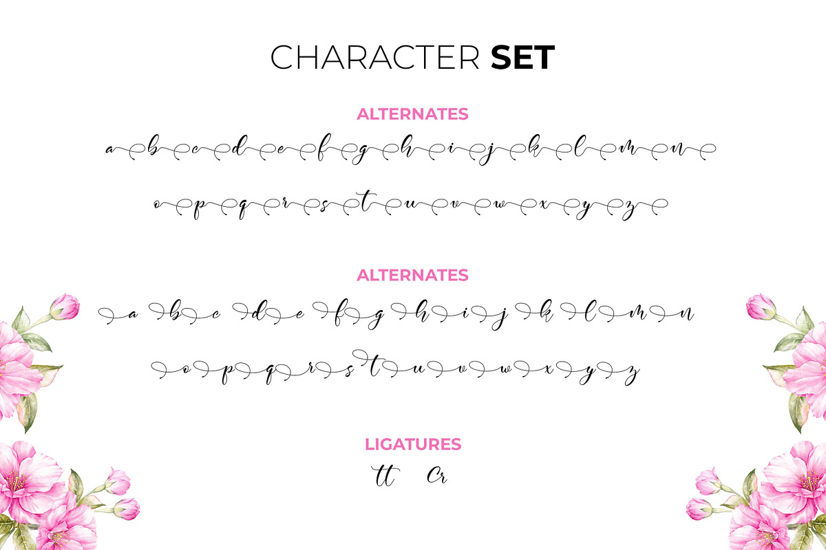 Kamelitta  - Beautiful Curvy Script, a Script Font by Almarkhatype (Photo 10 of 10)