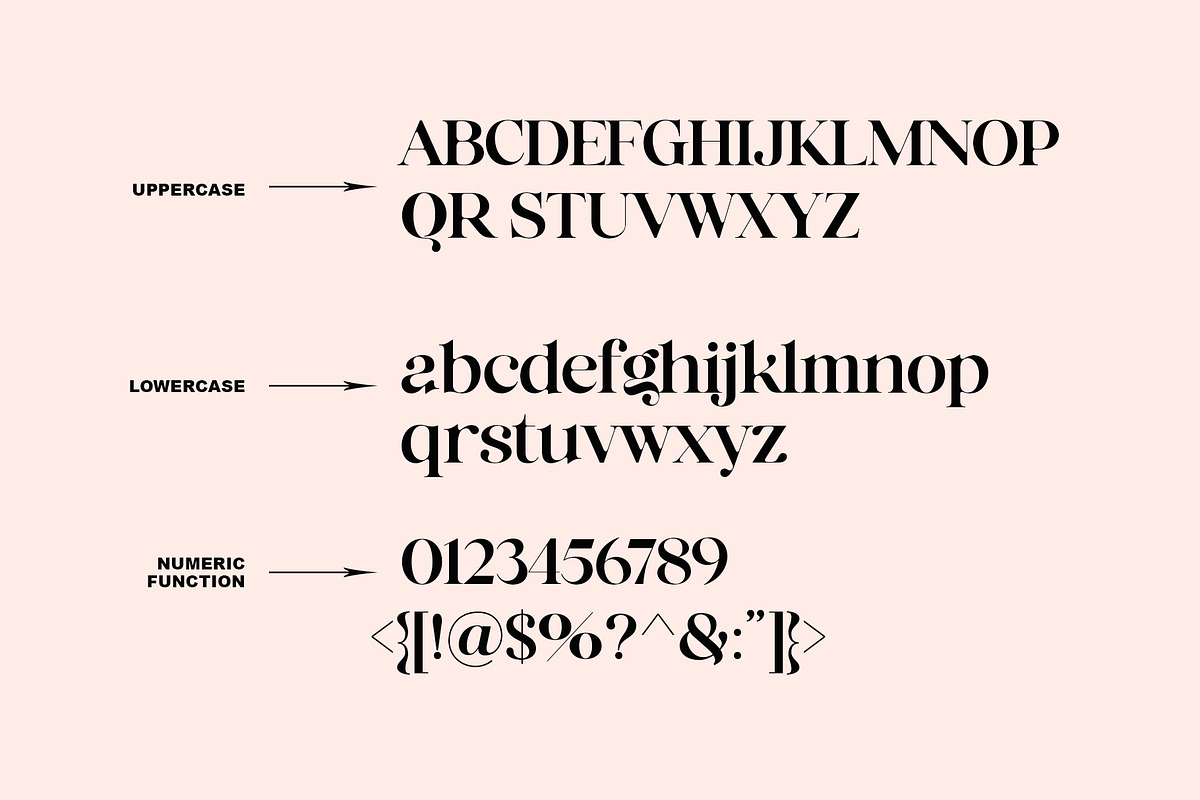 Premium Montage, a Serif Font by NYDESIGN (Photo 7 of 9)