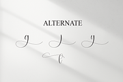 Bodycount | Script Font, a Handwritten Font by Scratchones (Thumbnail 8 of 9)