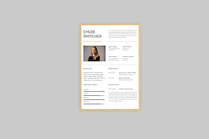 Flare Up Resume Designer