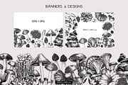 Mushrooms Vector Illustration Set, an Object Illustration by Yevheniia (Thumbnail 10 of 14)