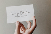 Spearfish Elegant Signature Font, a Script Font by Heinzel Std (Thumbnail 10 of 11)