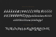 Ringtrack - Rough Brush Fonts, a Script Font by Patria Ari (P4tcreativa) (Thumbnail 9 of 10)
