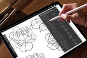 Peony Lines, Procreate Stamp Brushes, a Brush Add-On by InkRef (Thumbnail 3 of 4)