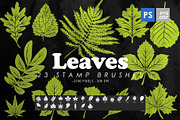 Leaves Photoshop Stamp Brushes, a Brush Add-On by ArtistMef (Thumbnail 1 of 4)