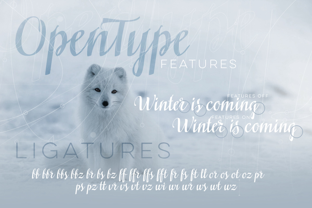 Siberius Clean Script Typeface preview 3