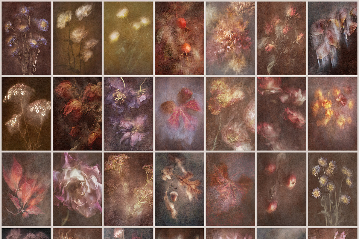 Flora Bundle - Floral Backgrounds, a Background Graphic by alonahaidash (Photo 23 of 24)