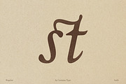 The Ashcombe Hall Oldstyle Serif, a Serif Font by CarmineType (Thumbnail 21 of 24)