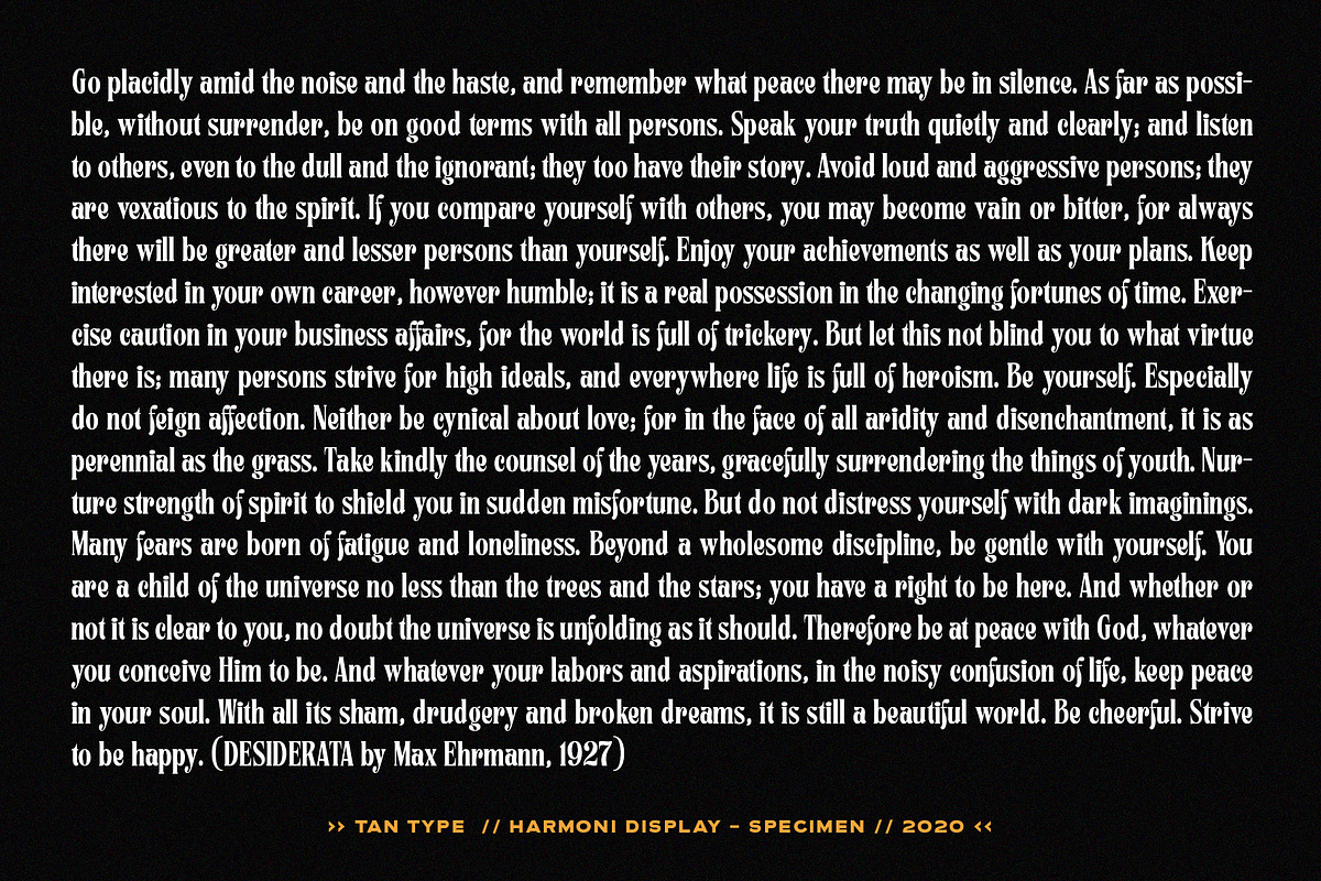 TAN - Harmoni, a Serif Font by TanType (Photo 11 of 19)