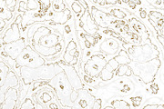 Marble textures 8000 x 8000 px, a Texture Graphic by tkdesign (Thumbnail 3 of 21)