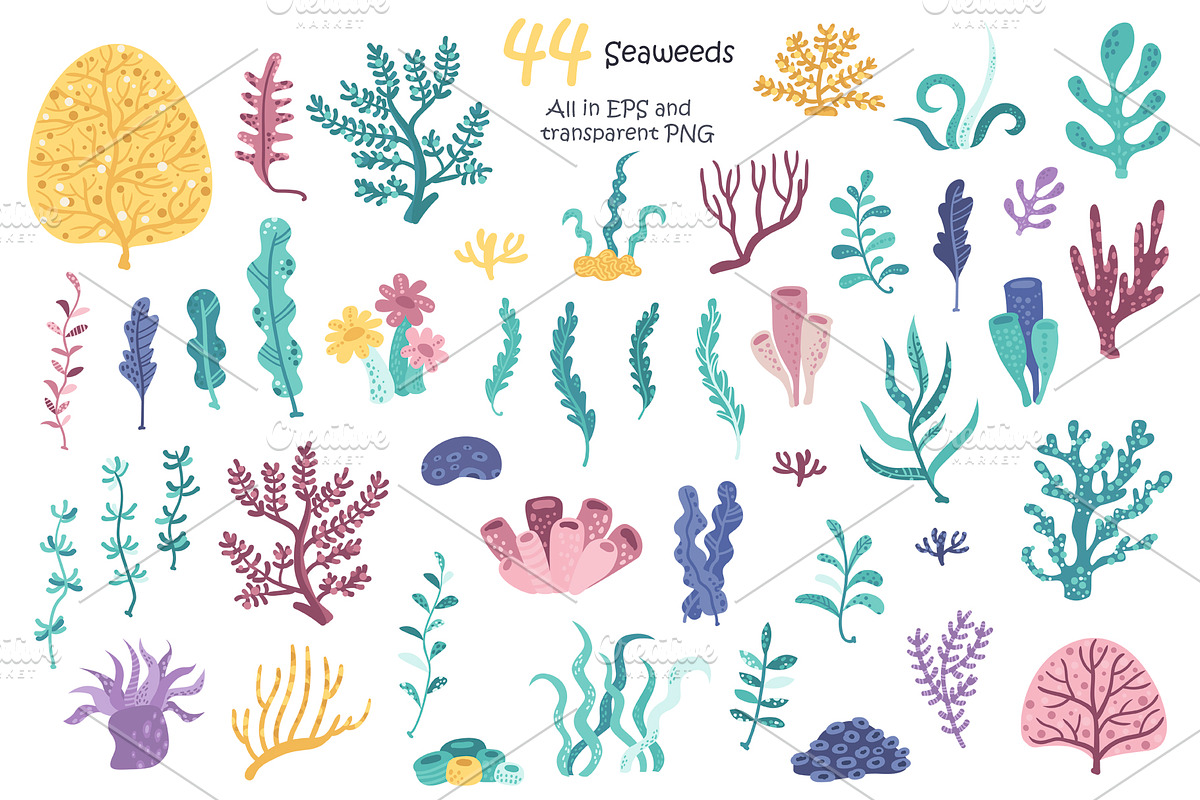 Under the Sea, a Graphic by Nafanya (Photo 12 of 13)