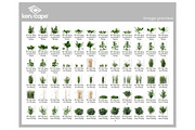 108 Farm Plants Photo Overlays, a Nature Photo by KenScape (Thumbnail 3 of 4)