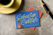 Distyan Stovilky Handwritten Brush, a Script Font by stylishtype.co (Thumbnail 13 of 15)