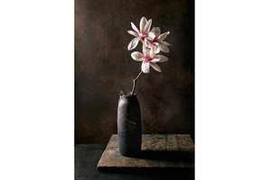 Elegant Magnolia In Black Ceramic, a Nature Photo by Natasha Breen