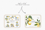 Sicilian Lemons & Ribbons, a Decorative Illustration by ThaismotaCreativeCo (Thumbnail 8 of 9)