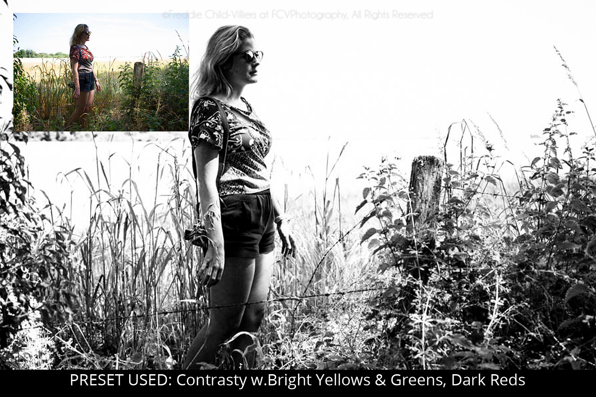 Pro Black & White Lightroom Presets preview 3