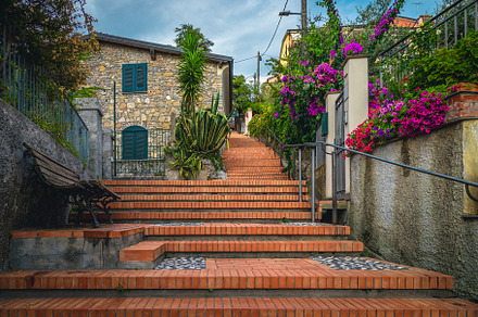 Street view with flowery gardens, an Architecture Photo by Alpine Dreams
