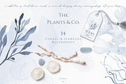 Ocean Memories Underwater Collection, an Animal Illustration by beehouse studio (Thumbnail 4 of 12)