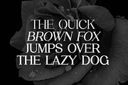 Moonscape Serif Roman Family Font, a Serif Font by UICreative (Thumbnail 8 of 13)