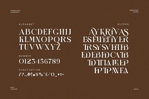 Qasiya Unique Ligature Serif Font