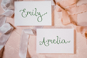 Delicate Ribbons // Quirky Script