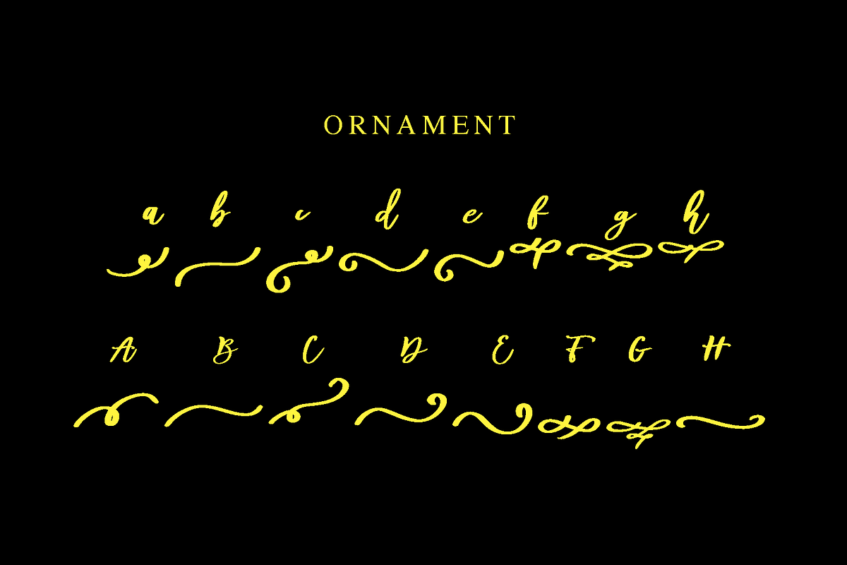 Diveil Script preview 6