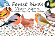 Small forest birds - vector clipart, an Animal Illustration by ViktoriArt (Thumbnail 1 of 6)