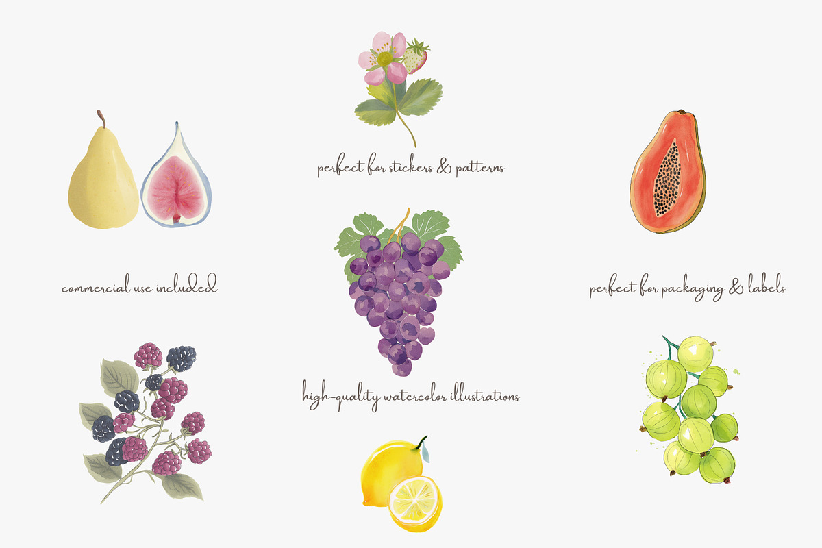 Fruit watercolor clipart set, a Decorative Illustration by Patishop Art (Photo 5 of 7)