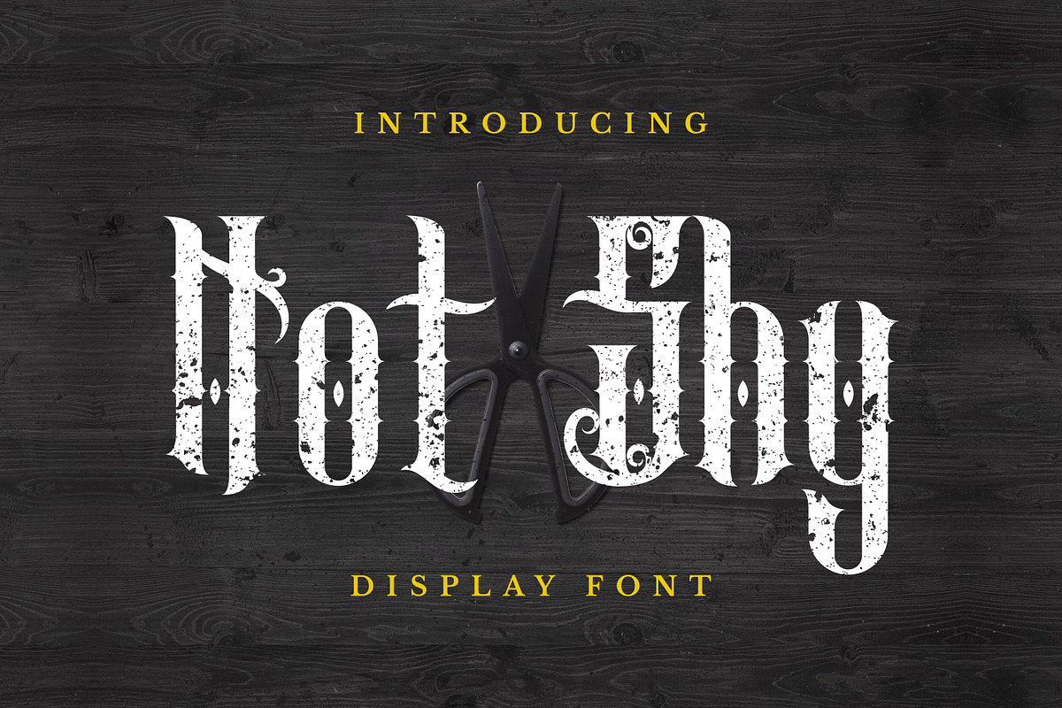 NotShy Font, a Serif Font by Haws.std (Photo 1 of 5)