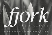 Confirm Serif (42 fonts), a Font by Dora Typefoundry (Thumbnail 7 of 12)
